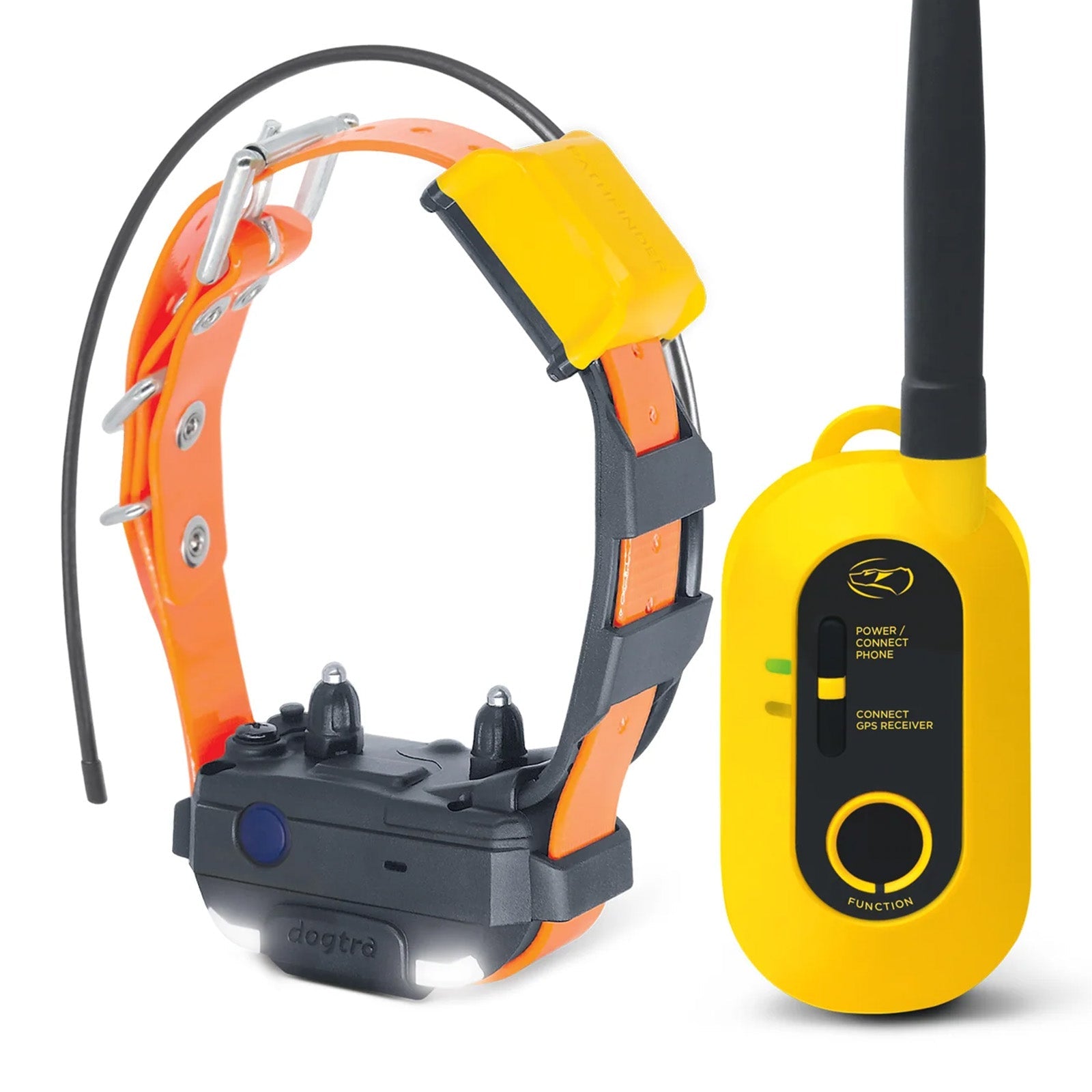 Pathfinder 2 Mini Ausbildungshalsband