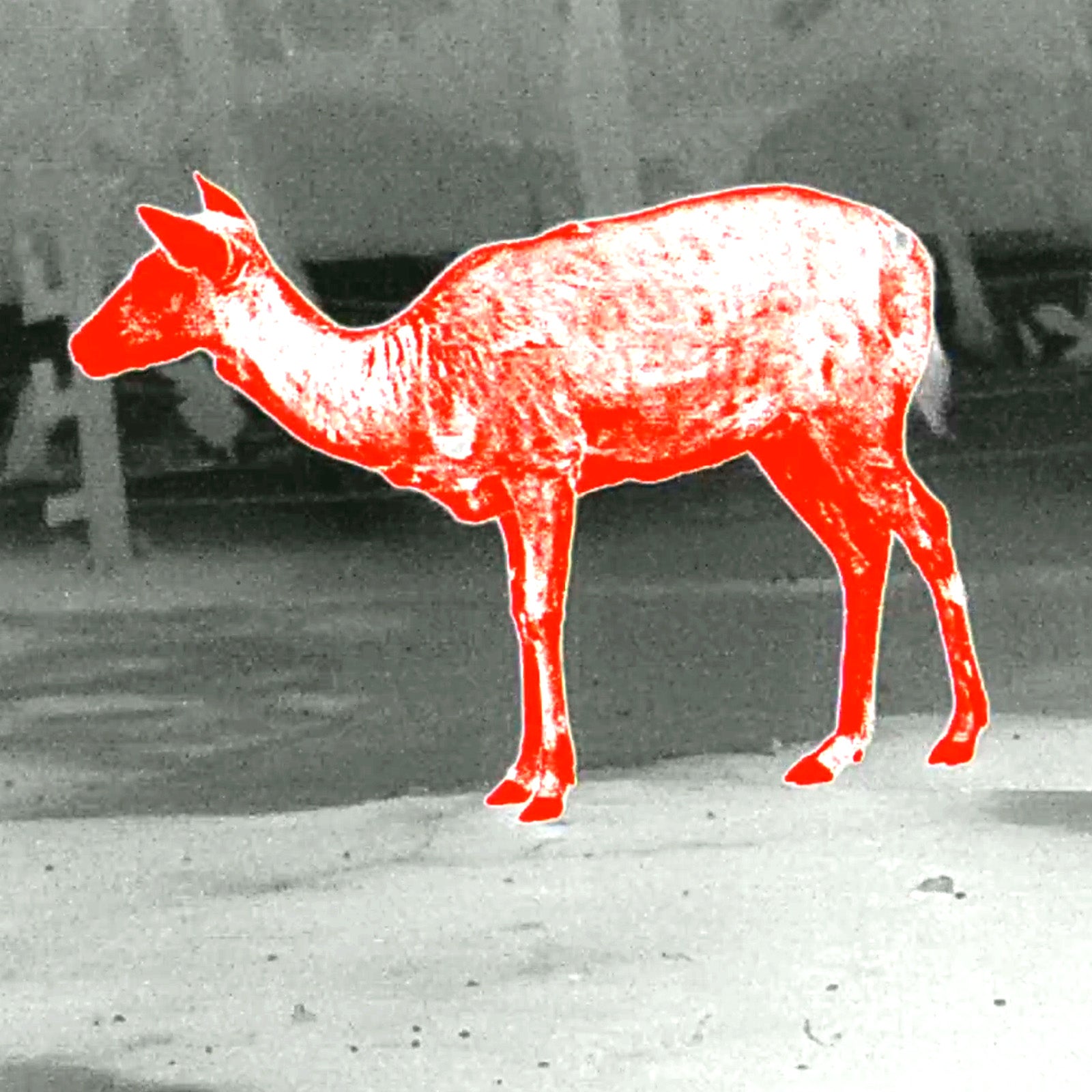 Leopard 480 LRF Wärmebildhandgerät